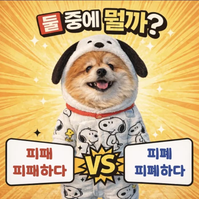 피폐 vs 피패: 2026년, 헷갈리는 맞춤법 완벽 정리