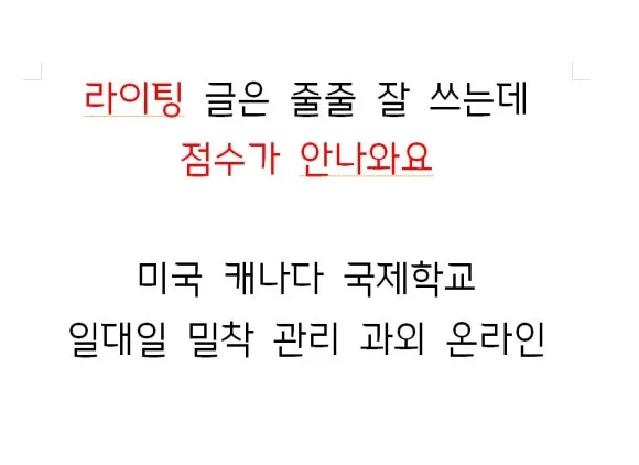 국제학교 라이팅 점수 안 나오는 이유 2026: 3가지 핵심 점검
