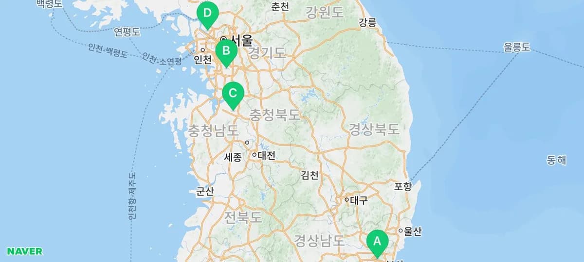 미니어처 푸들 미용 주기와 관리법 2026: 초보 보호자를 위한 완벽 가이드