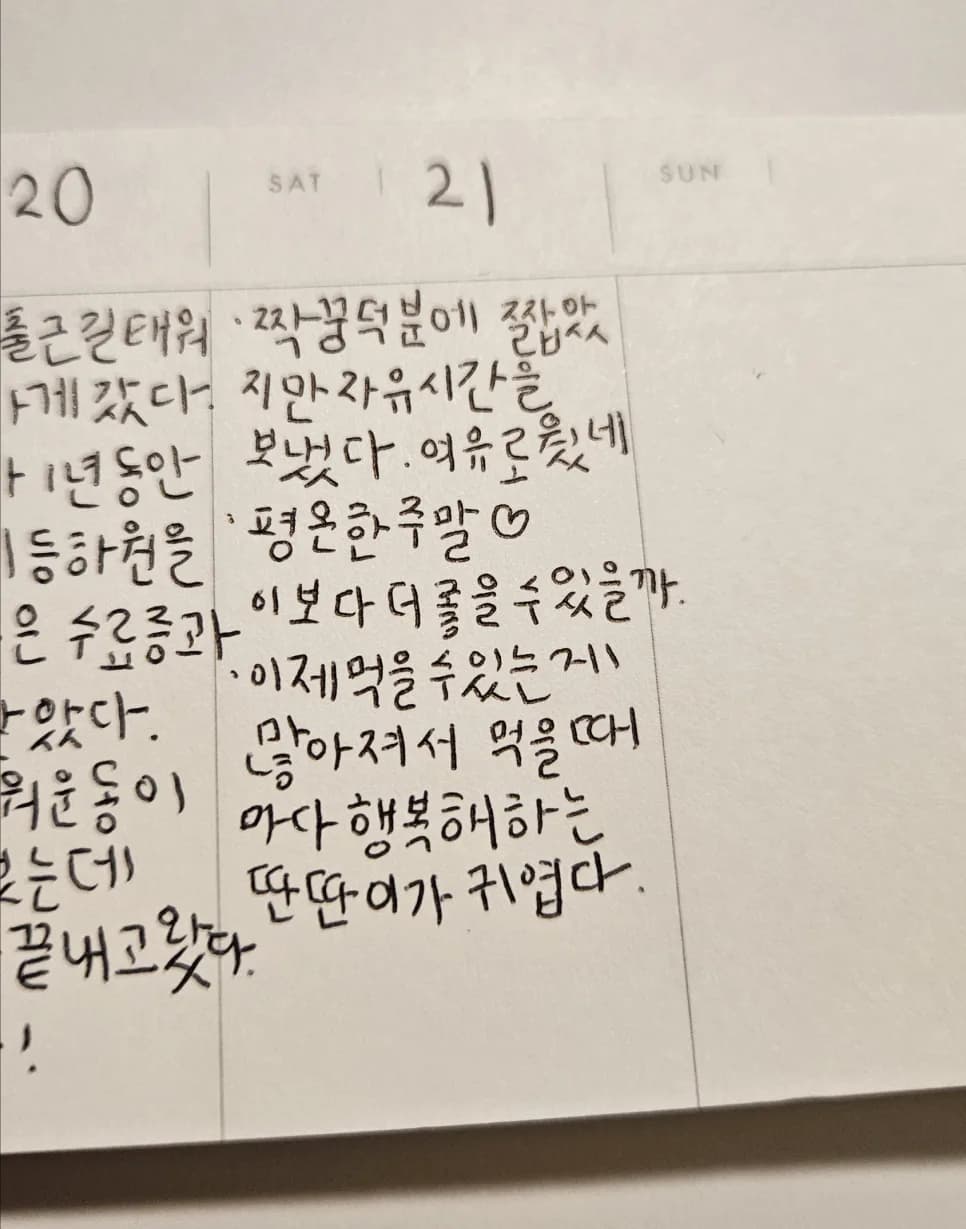 짝꿍의 감사한 배려 2026: 육아와 휴식의 완벽한 균형