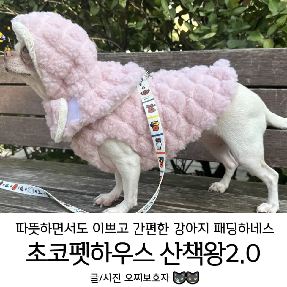 강아지 패딩 하네스 초코펫하우스 산책왕 2.0: 2026년 겨울 필수템
