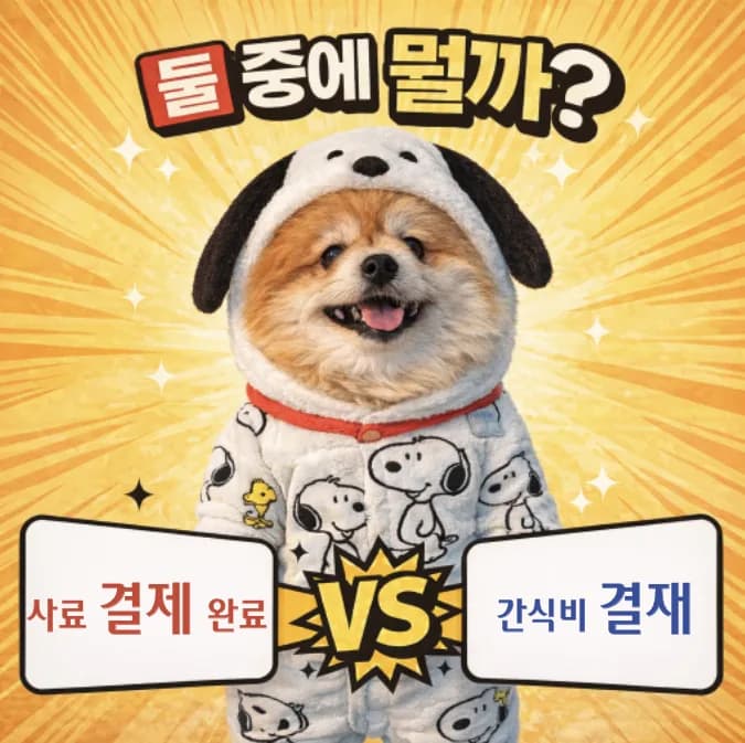 결제 vs 결재 2026: 헷갈리는 맞춤법, 장군이의 명쾌한 정리