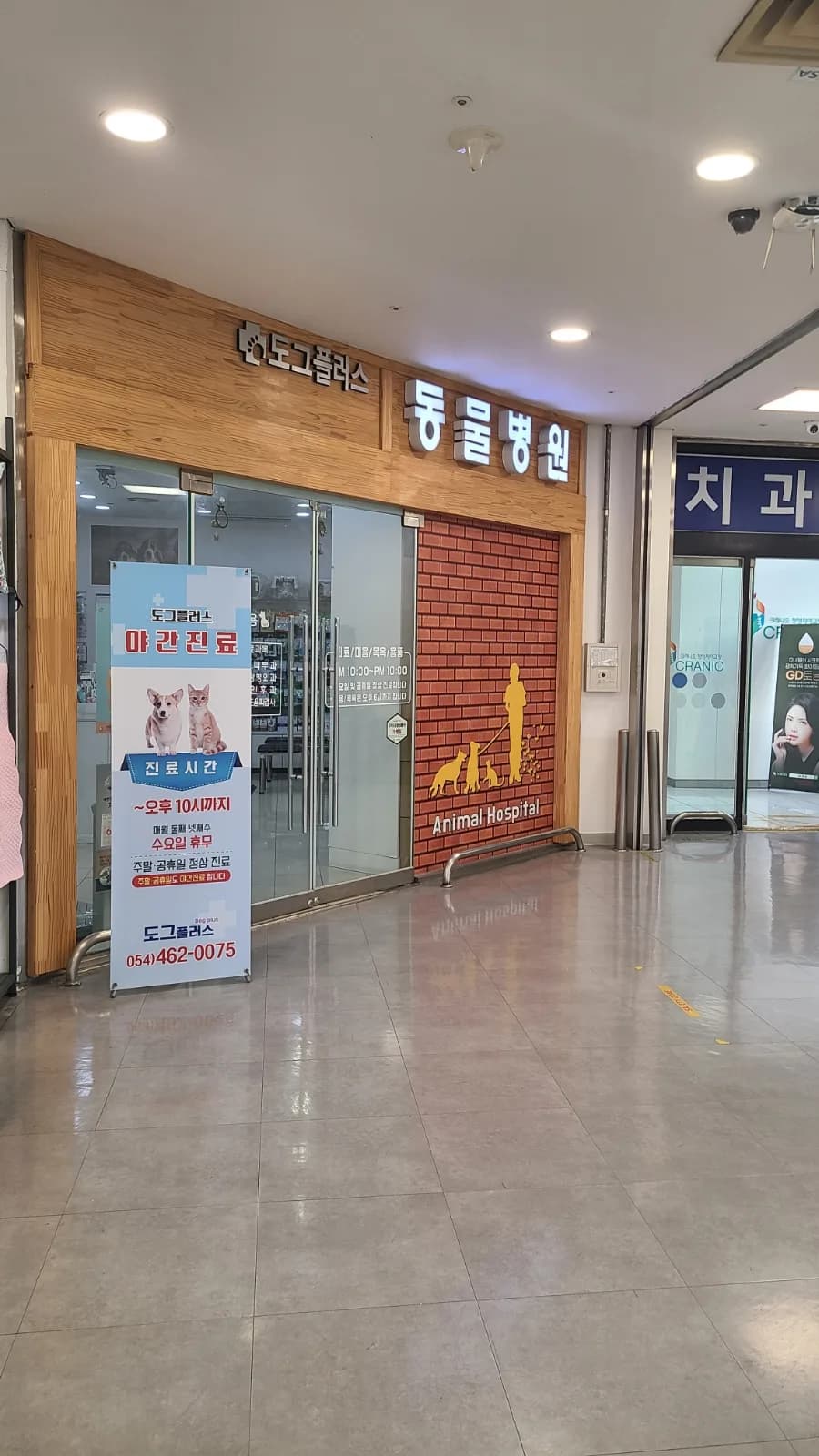 구미 도그플러스 동물병원, 강아지 눈물·구토·기침 진료 후기 2026