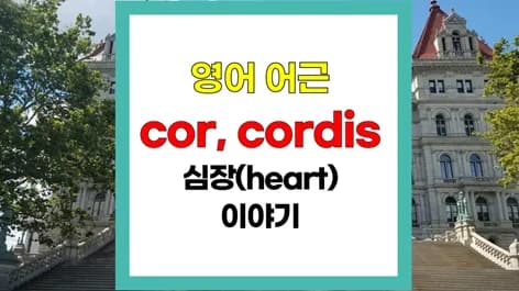 영어 단어 'record'에 'heart'가 담긴 이유 2026년 총정리