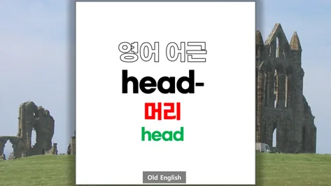 영어 어근 'head'의 모든 것: 어원부터 파생어까지 2026년 완벽 정리