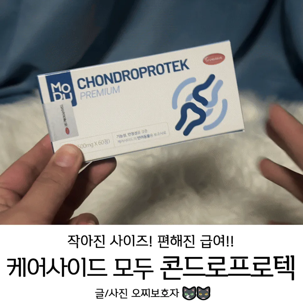 강아지 관절 영양제 2026: 케어사이드 모두 콘드로프로텍 비교 분석