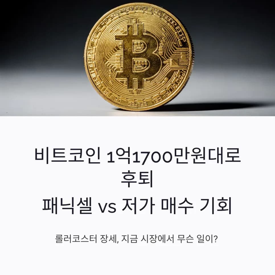 비트코인 1억 1700만원대 하락, 기관 자금 유입될까? 2026 전망
