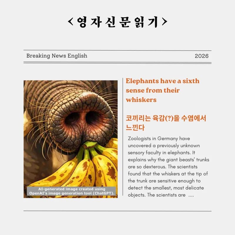 코끼리 수염의 놀라운 감각 능력: 제6의 감각 2026년 최신 연구