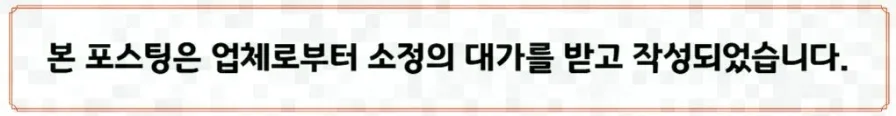 반려묘 병원 동행 준비 2026: 질병 예방과 스트레스 완화법