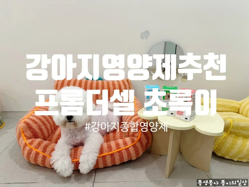 6세 강아지 영양제, 프롬더셀 초록색 라인 2026년 맞춤 관리법
