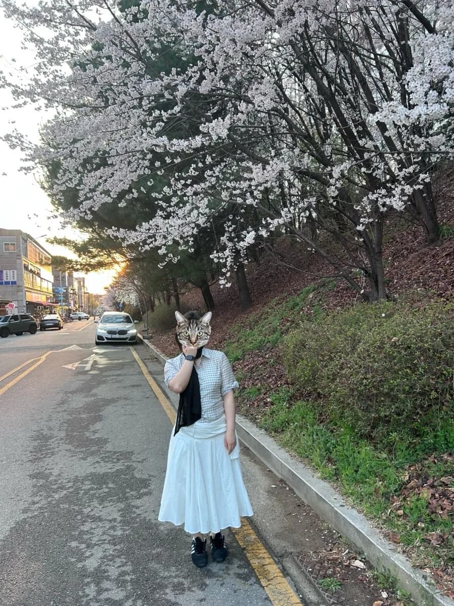2026년 옷 쇼핑 트렌드: 인기 브랜드별 신상 및 구매 가이드