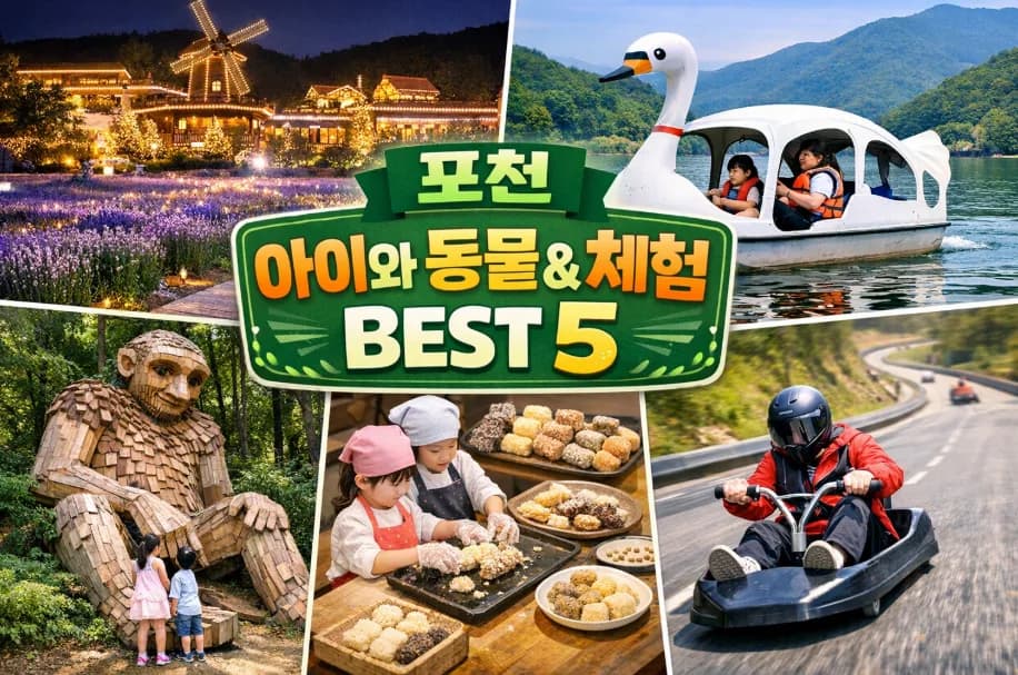 2026년 포천 아이와 가볼만한 곳: 동물 체험 코스 완벽 정리