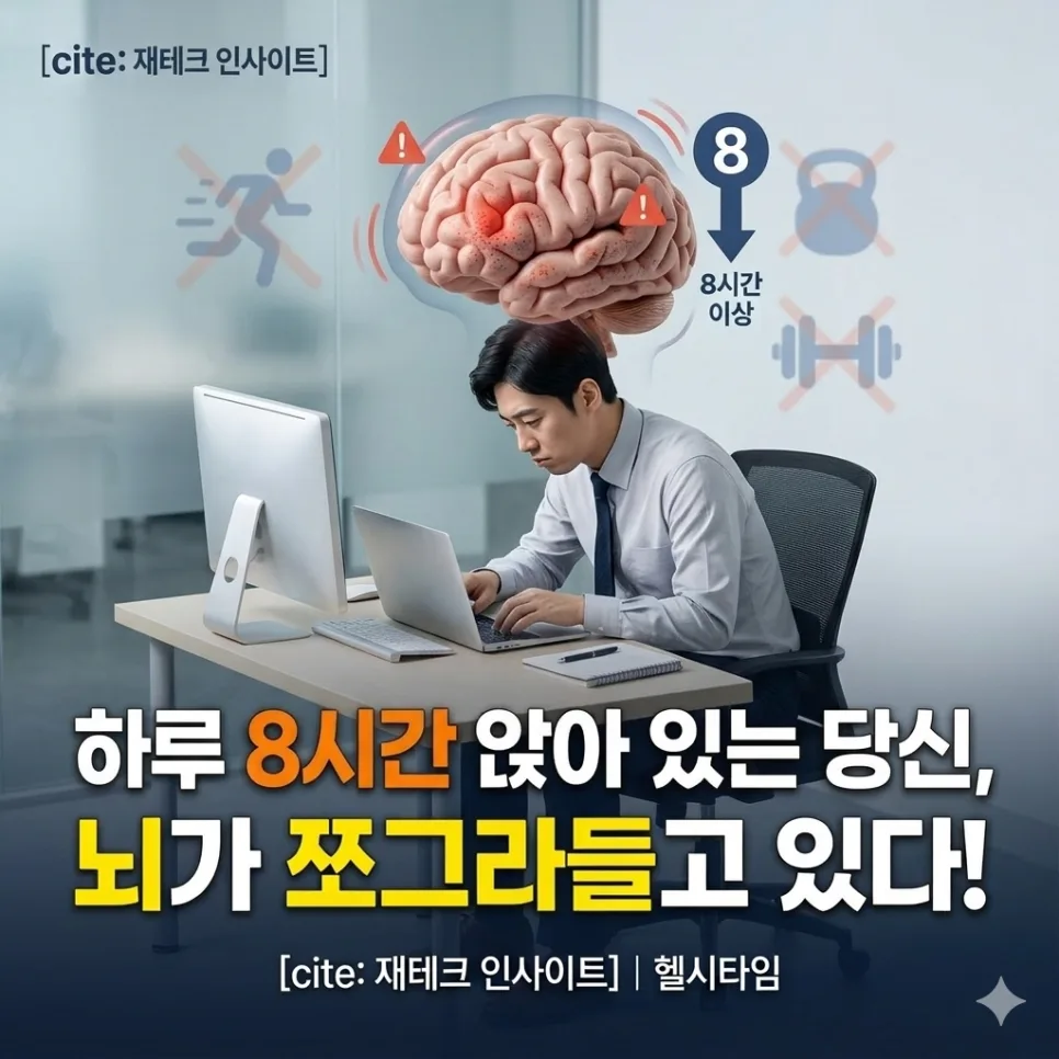2026년 치매 100만 시대, 오래 앉아있으면 뇌가 쪼그라들까?