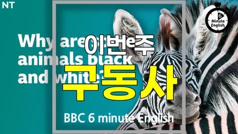 영어 구동사 핵심 정리: 2026년 필수 표현 10가지 마스터