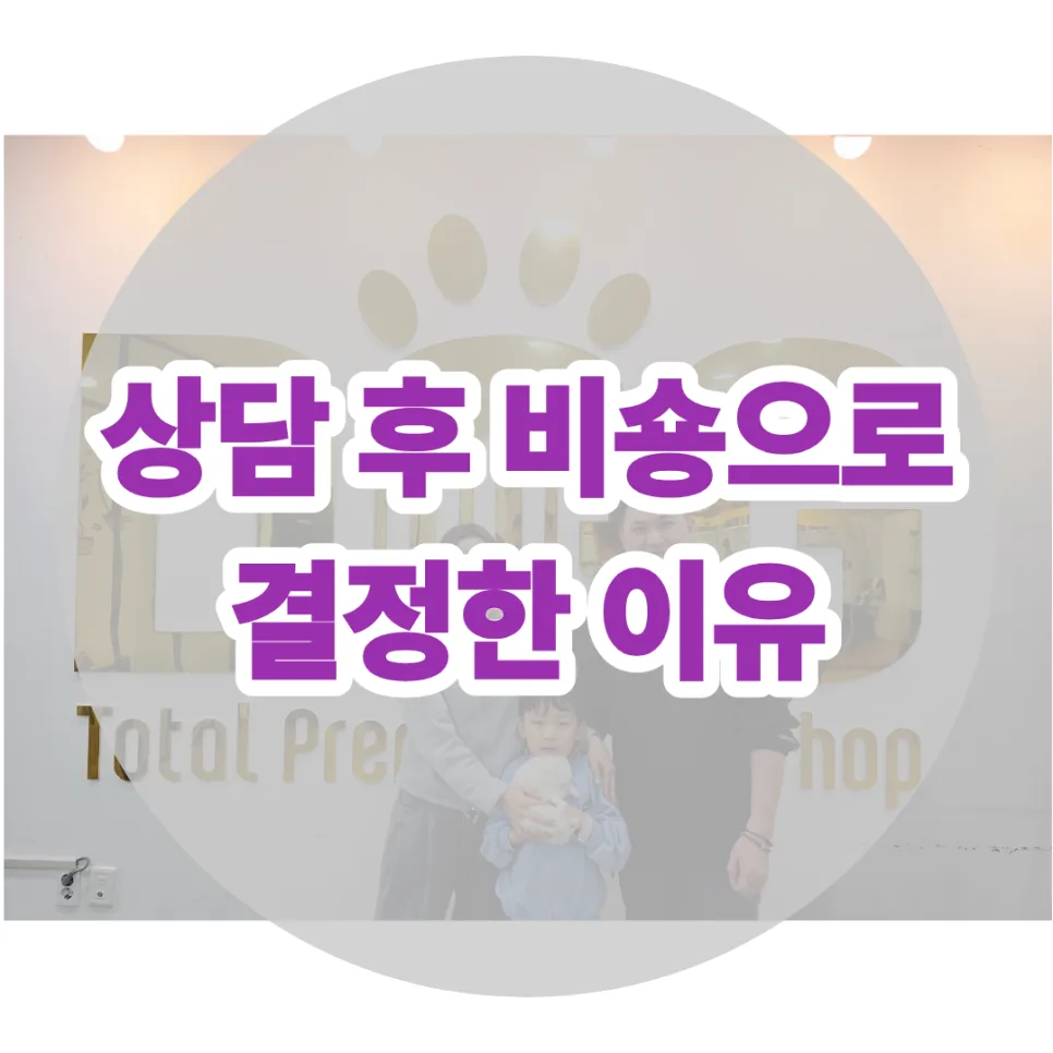세종시 비숑 분양 2026: 가족 맞춤 견종 추천 상담 후기