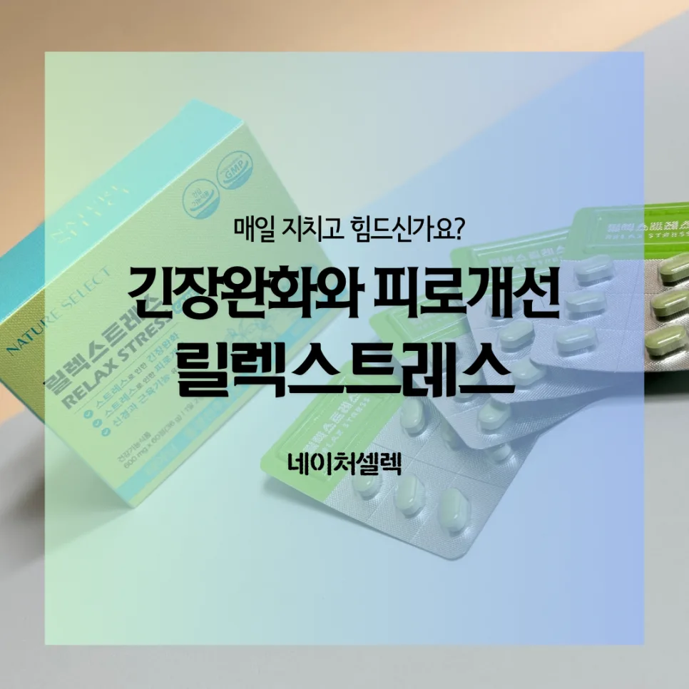 잠 잘 오는 영양제 2026: 스트레스 완화와 숙면 효과 비교