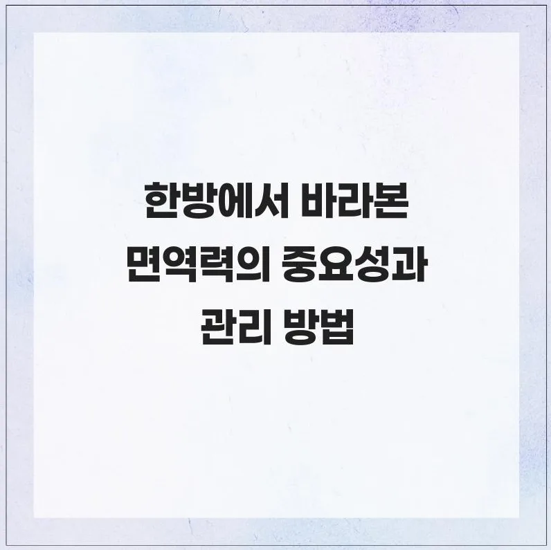 면역력 높이는 한방 비법 2026: 전문가가 정리한 핵심 포인트