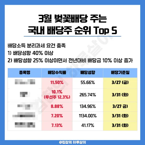 2026년 주린이를 위한 ETF & 배당주 투자 로드맵: 안정 수익 잡는 법