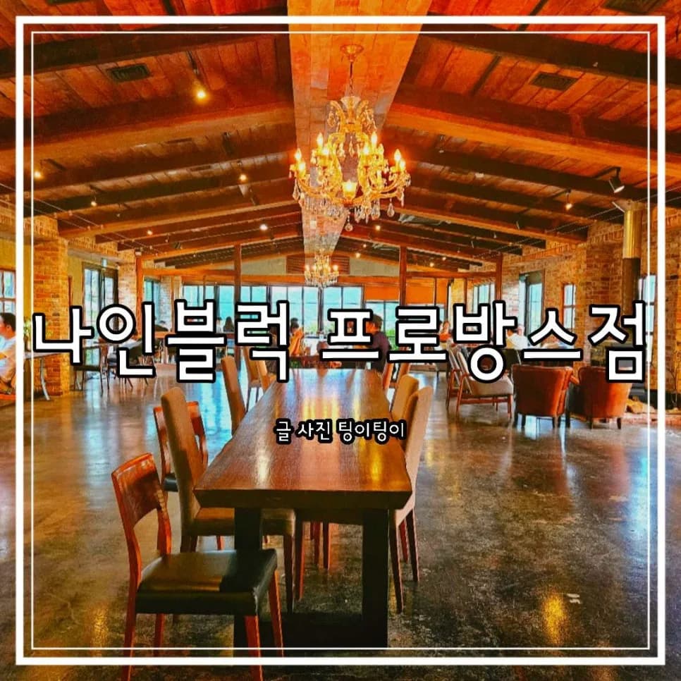 파주 프로방스 카페 나인블럭 2026: 분위기 좋은 브런치 & 커피 맛집